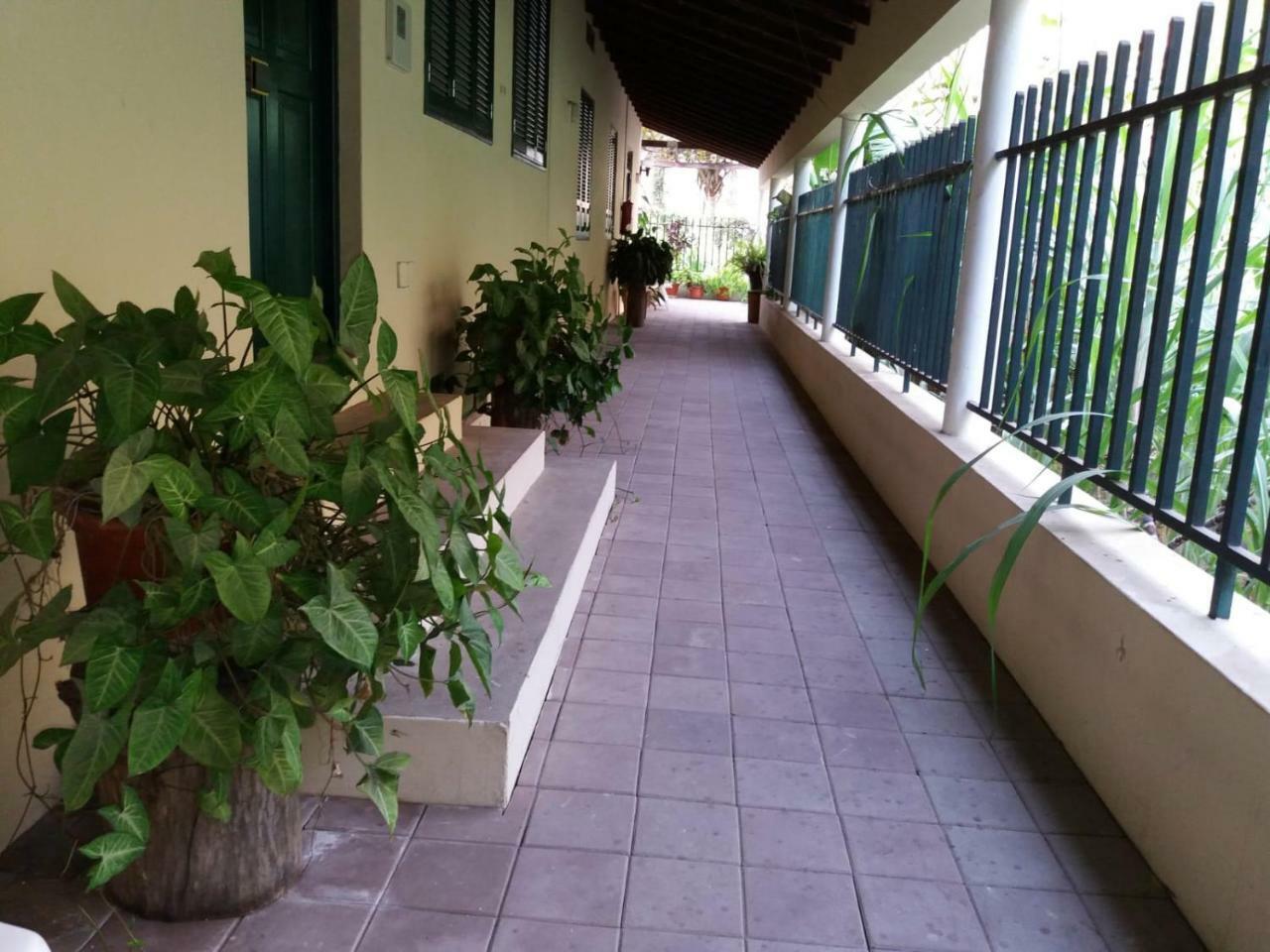 Ribeira Grande Country House Cha de Arroz Eksteriør billede