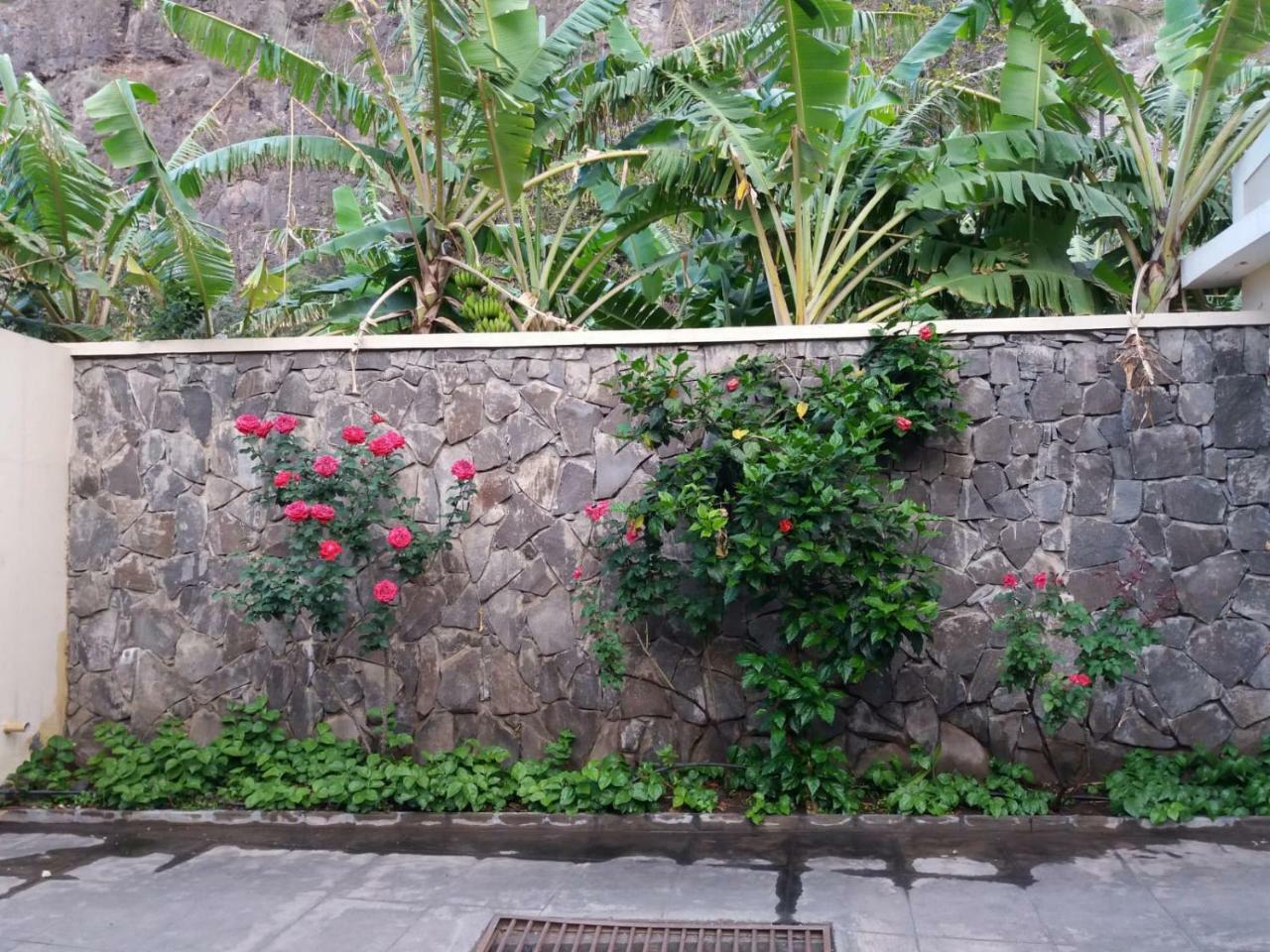 Ribeira Grande Country House Cha de Arroz Eksteriør billede