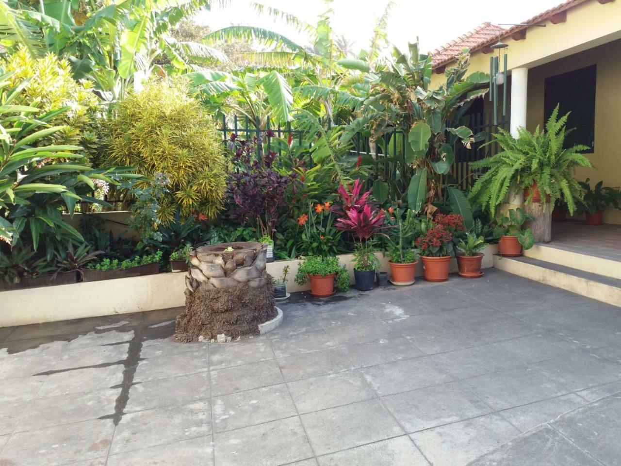 Ribeira Grande Country House Cha de Arroz Eksteriør billede