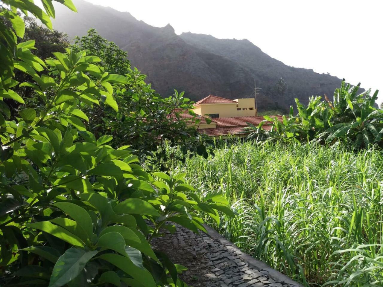 Ribeira Grande Country House Cha de Arroz Eksteriør billede