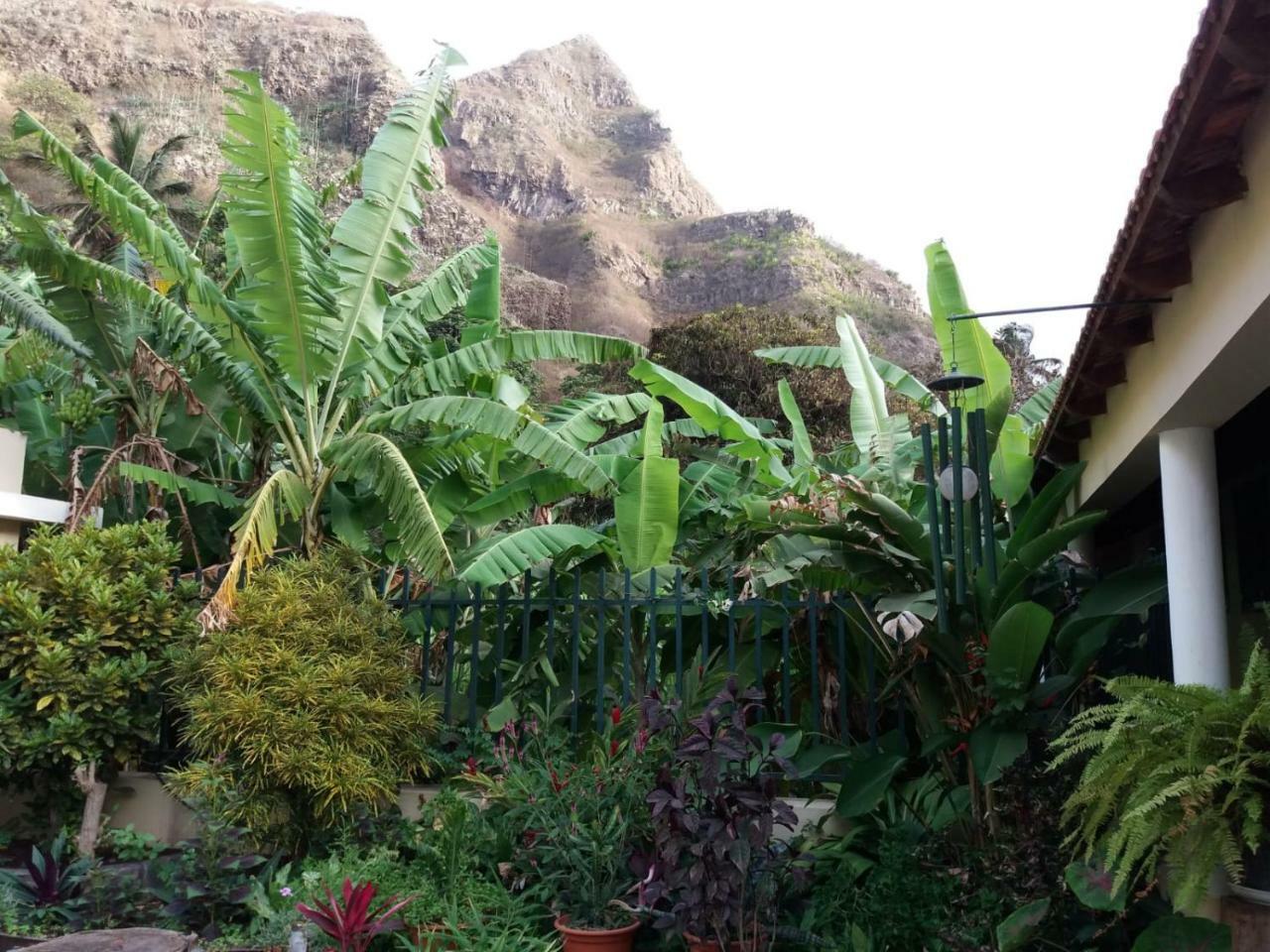 Ribeira Grande Country House Cha de Arroz Eksteriør billede